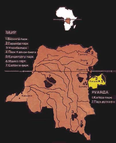 Для диких животных места нет - i_003.jpg