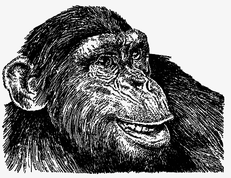 Братья наши меньшие [Мы вовсе не такие] - i_003.png