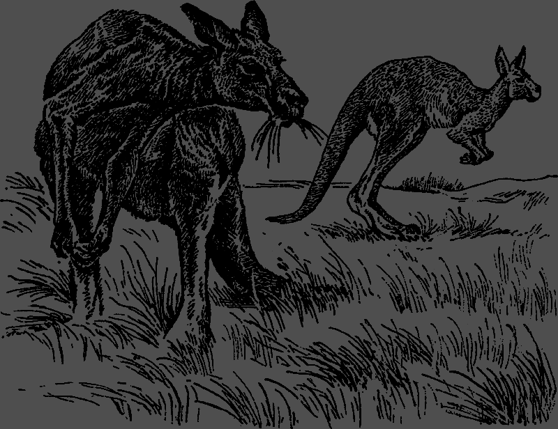 Австралийские этюды - i_010.png