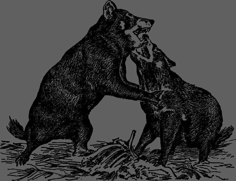 Австралийские этюды - i_027.png