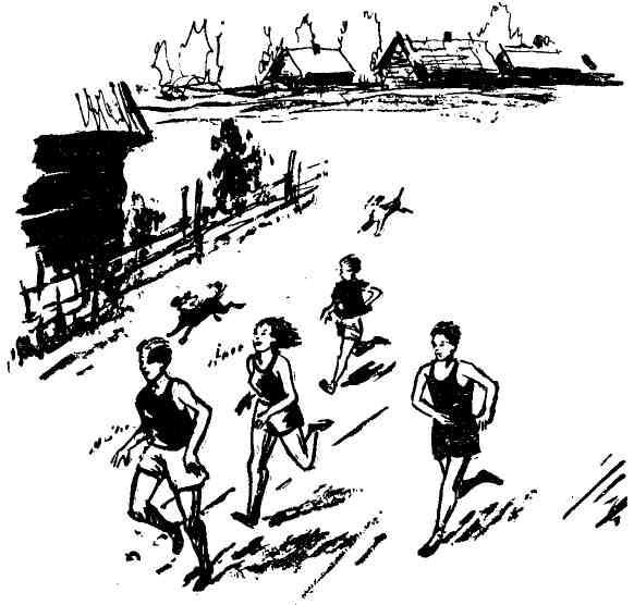 Маэстро Воробышек - img_10.jpeg