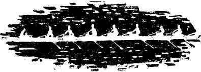 Маэстро Воробышек - img_39.jpeg