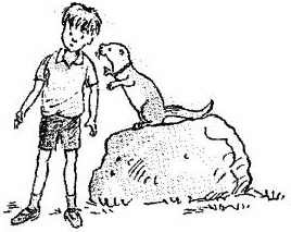 Новые истории про Винни-Пуха - i_155.jpg