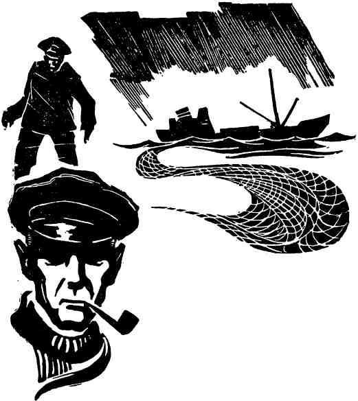 Чайки садятся на воду - img_23.jpeg