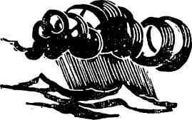 Чайки садятся на воду - img_28.jpeg