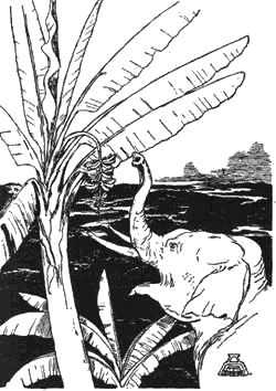 Сказки и легенды - any2fbimgloader9.png