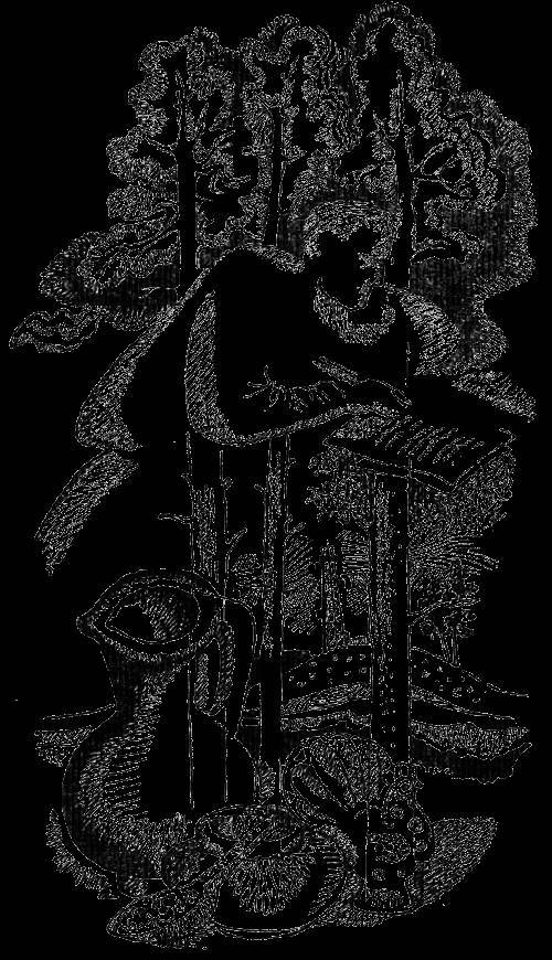 Бессмертны ли злые волшебники - _6.jpg