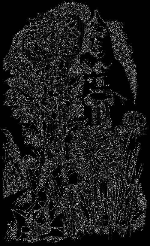 Бессмертны ли злые волшебники - _9.jpg