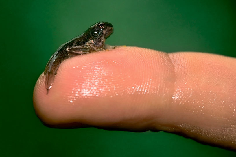 Северный Часовой и другие сюжеты - i_057.jpg