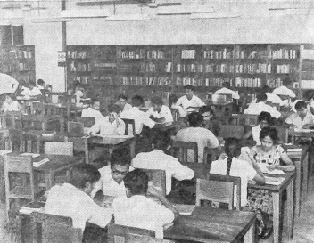 Краски далекого острова - image1.png