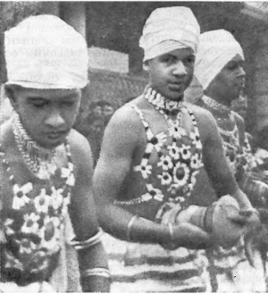 Краски далекого острова - image14.png