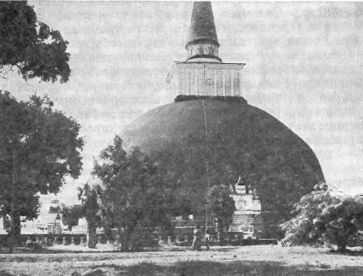 Краски далекого острова - image3.png