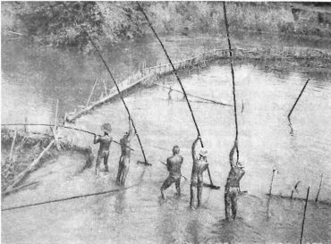 Краски далекого острова - image4.png