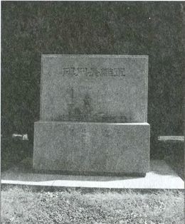 Япония. Незавершенное соперничество - i_173.jpg