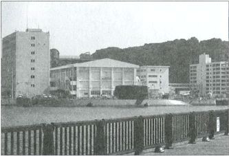 Япония. Незавершенное соперничество - i_175.jpg