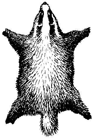 Формозов А.Н. Шесть дней в лесах - _3.jpg