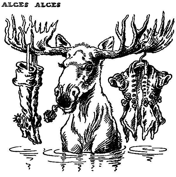 Зверинец у крыльца - img_5.png