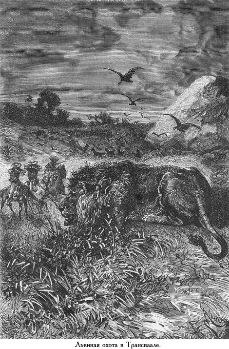 Южная звезда (с иллюстрациями) - _021.jpg