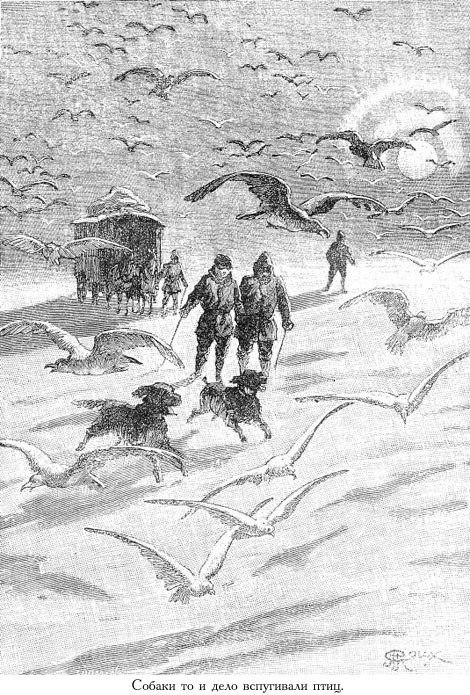 Цезарь Каскабель (иллюстр.) - _047.jpg