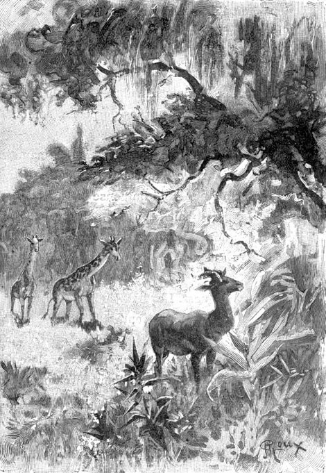 Удивительные приключения дядюшки Антифера (иллюстр.) - _058.jpg