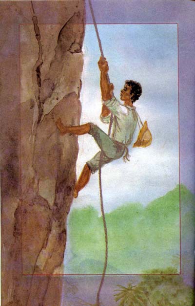 Приключения парижанина в Океании - Bezimeni23.jpg