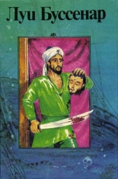 Приключения парижанина в Океании - автор Буссенар Луи Анри 