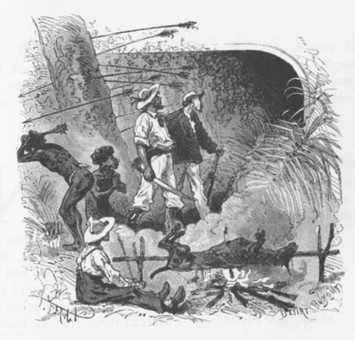 Приключения парижанина в Океании (иллюстрации) - _401.jpg