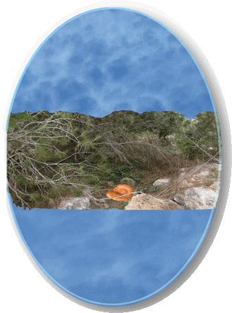 Стихи и сказки для детей и о детях - _2.jpg