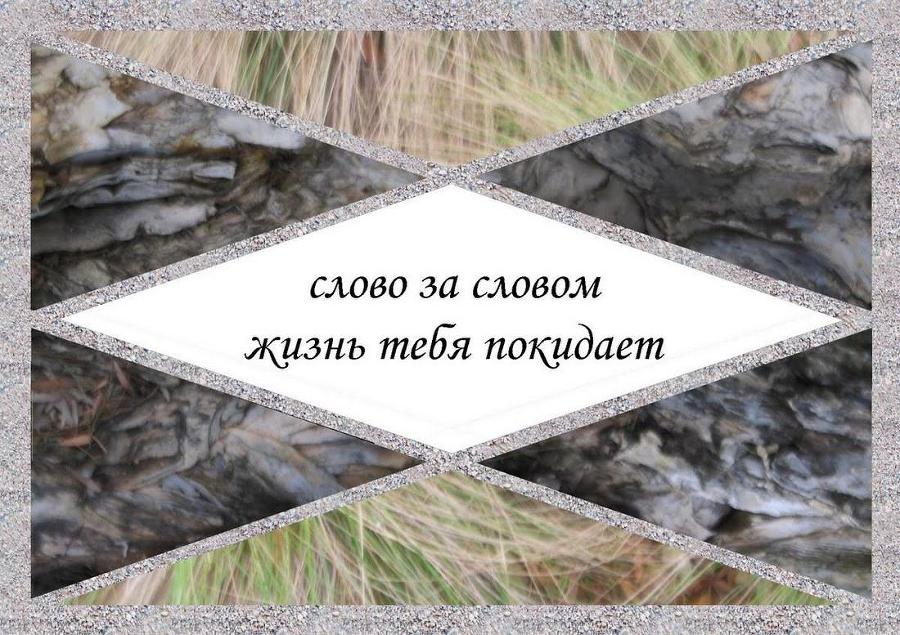 Хокку минус - _7.jpg