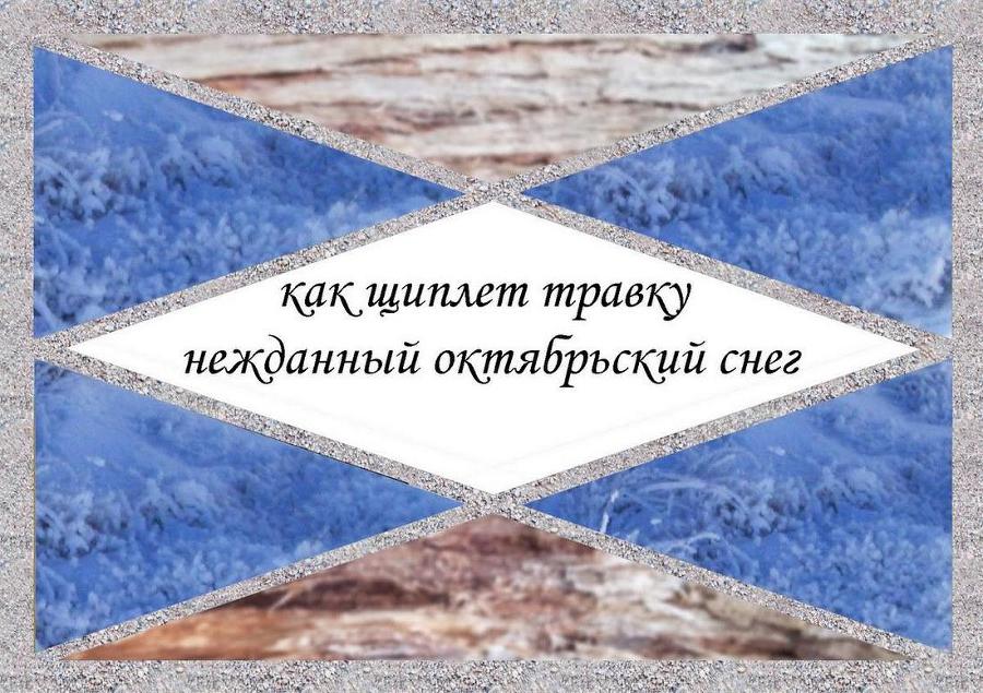 Хокку минус - _17.jpg