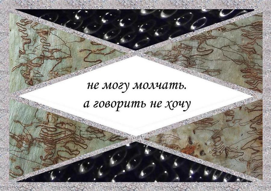 Хокку минус - _31.jpg