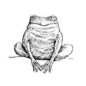 Самые обычные животные - i_004.jpg