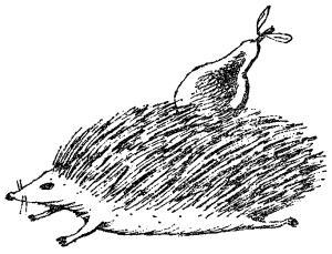 Самые обычные животные - i_008.jpg