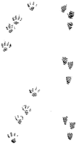 Звери у себя дома - i_033.png