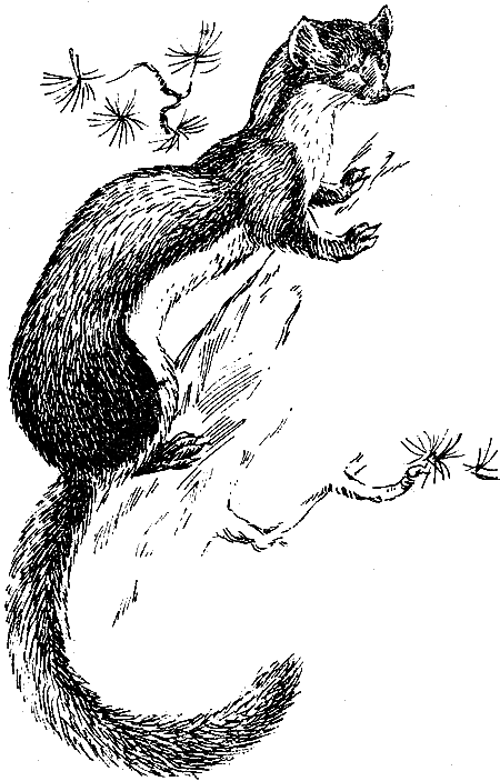 Звери у себя дома - i_035.png