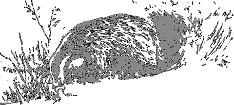 Рассказы о животных - i_001.png