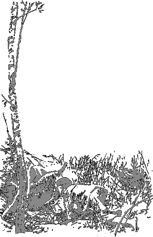 Рассказы о животных - i_008.png