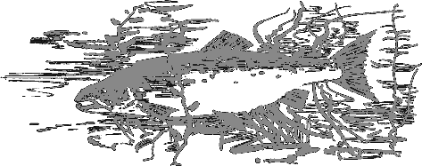 Рассказы о животных - i_020.png