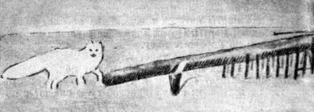 112 дней на собаках и оленях - i_023.jpg