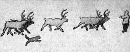 112 дней на собаках и оленях - i_025.jpg