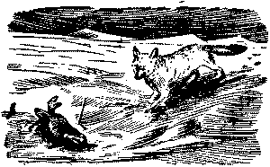 112 дней на собаках и оленях - i_026.png