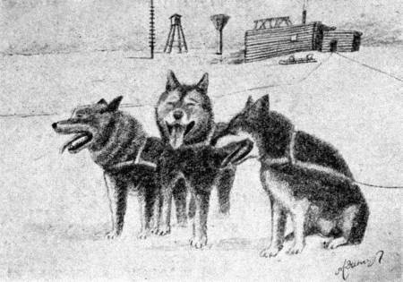 112 дней на собаках и оленях - i_033.jpg