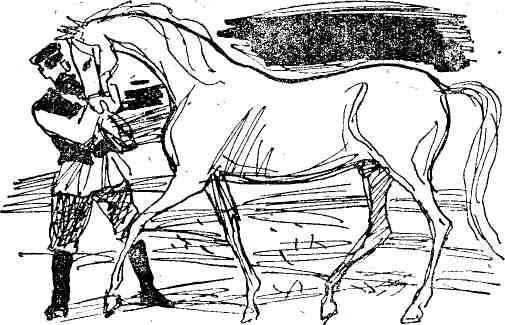 Гибель Светлейшего - img_29.jpeg