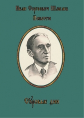 Суровые дни - автор Шмелев Иван Сергеевич 