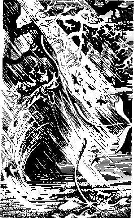 Право на поиск(изд.1989) - cd11601.png