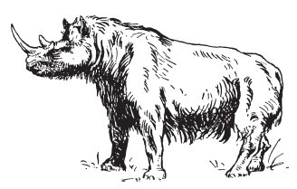 Первобытные люди. Быт, религия, культура - i_019.jpg