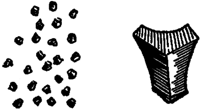 Занимательная ботаника (изд. 1951) - i_005.png