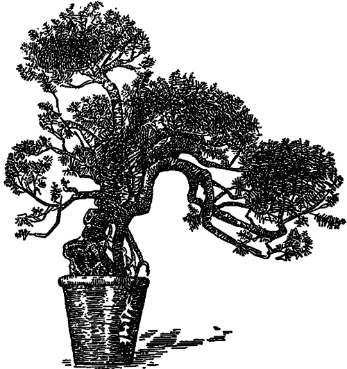 Занимательная ботаника (изд. 1951) - i_027.png