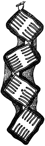 Занимательная ботаника (изд. 1951) - i_032.png