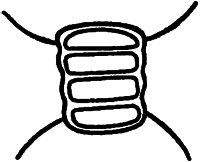 Занимательная ботаника (изд. 1951) - i_044.png